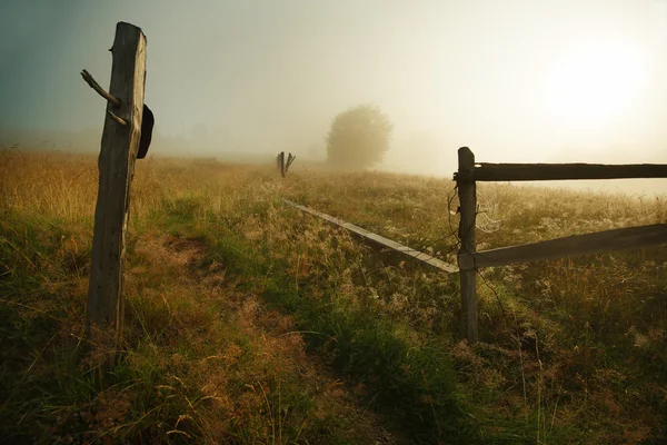 Chemin et clôture en bois dans la matinée brumeuse — Photo