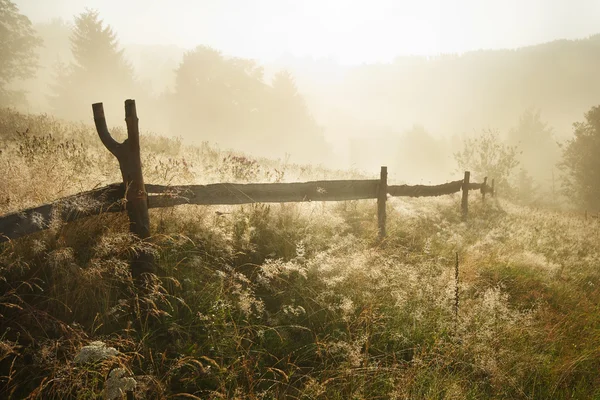 Misty manhã com cerca de madeira na Transilvânia — Fotografia de Stock