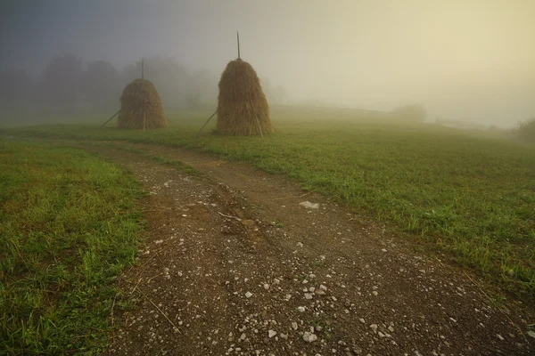 Haystacks perto da estrada — Fotografia de Stock