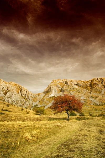 Árbol solitario y montañas rocosas — Foto de Stock