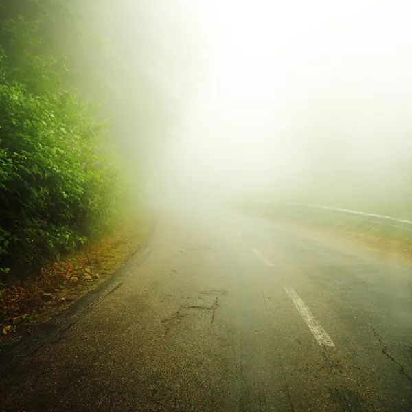 Weg in den Nebel — Stockfoto