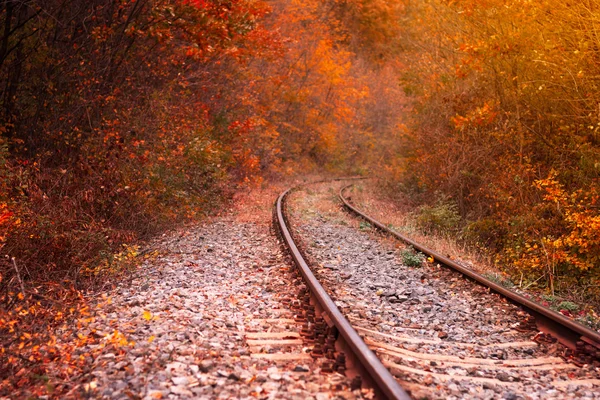 Järnväg i vackra höstlig skog — Stockfoto