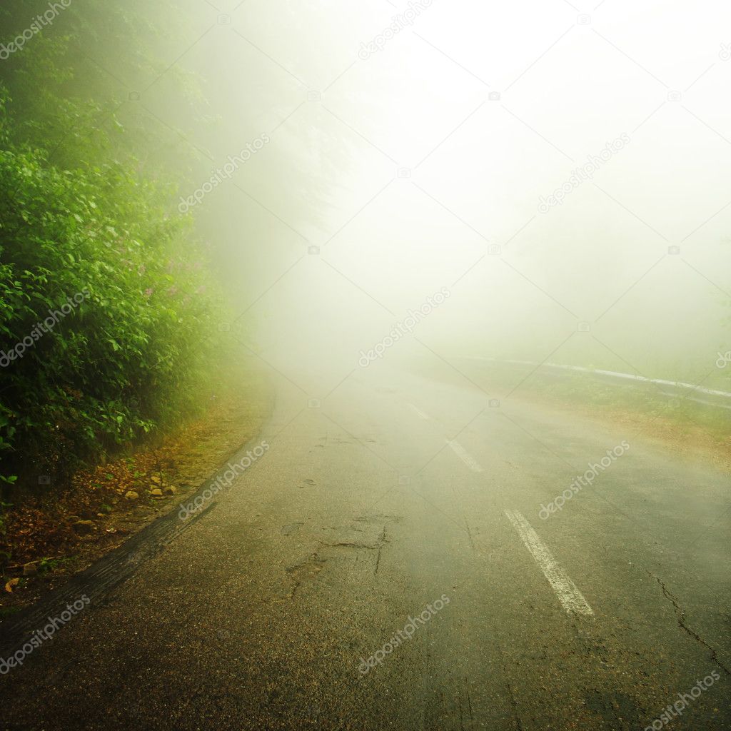 Road to the mist