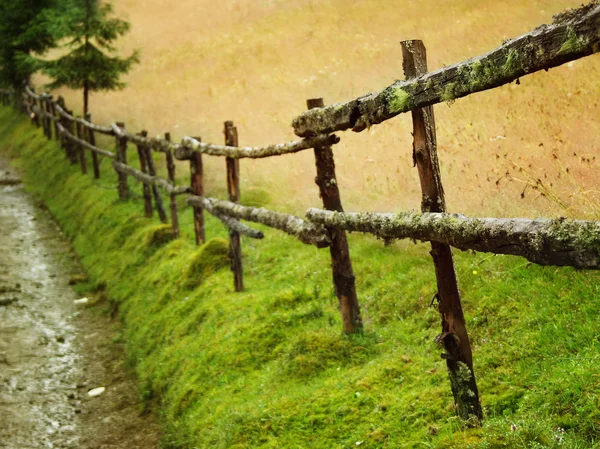 Cerca de madeira velha — Fotografia de Stock