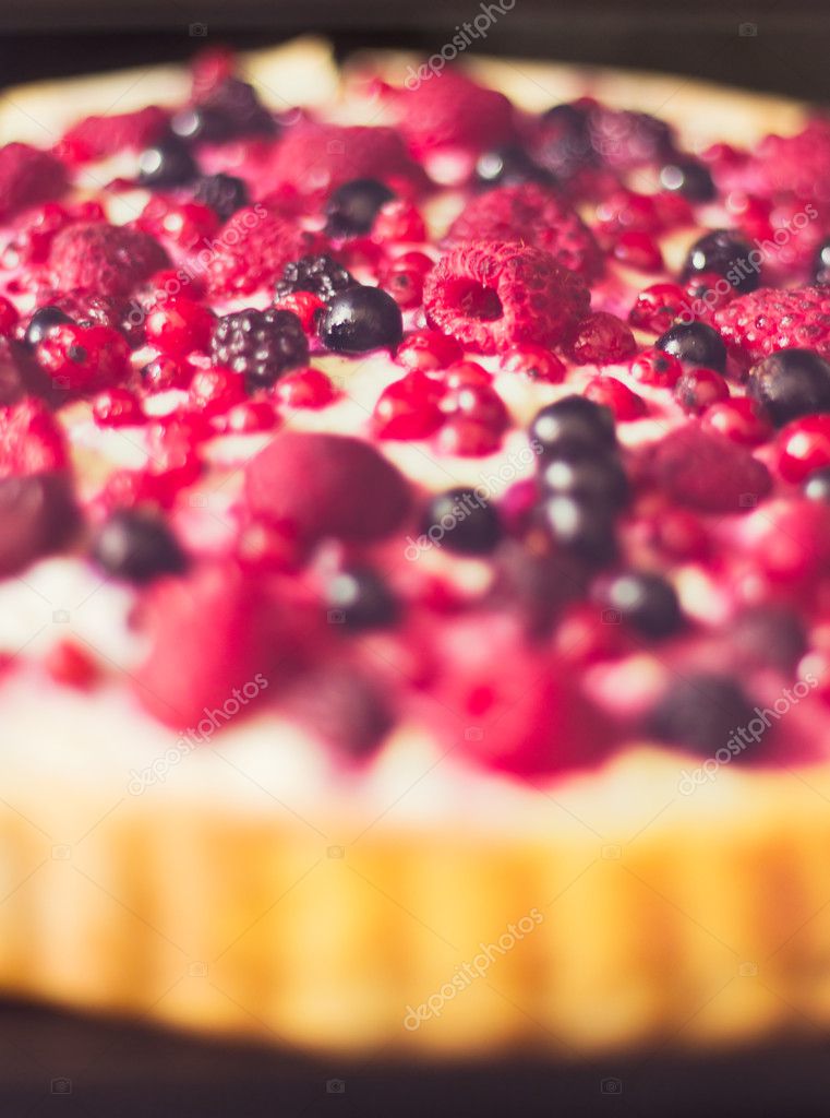 Hommade Cottage Cheese Tart With Forest Fruit Closeup Stock