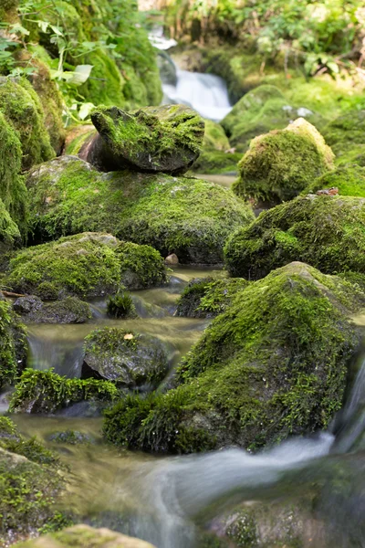 Creek closeup — Stock Photo, Image