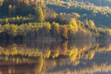 sonbahar ormanla göl üzerine düşünceler