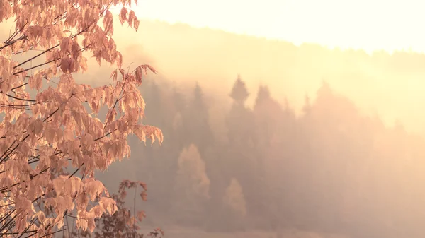 Paisaje otoñal bajo el sol - Transilvania montañas — Foto de Stock