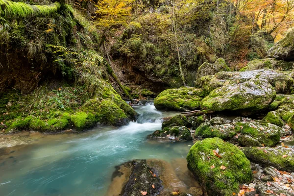 Arroyo otoñal con hermosas piedras musgosas y agua azul —  Fotos de Stock