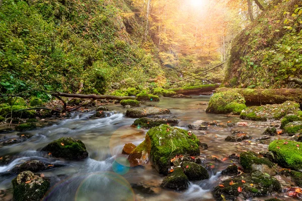 Река глубоко в горах и лесах — стоковое фото