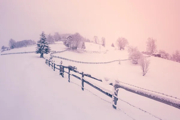 Paesaggio invernale con alberi innevati in collina - Transilvania — Foto Stock