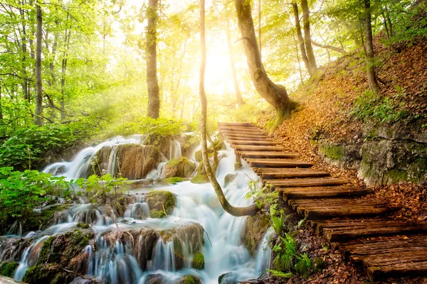 Fluxo de floresta profunda com água cristalina ao sol. Lagos de Plitvice, Croácia — Fotografia de Stock