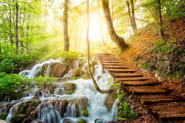 Fluxo de floresta profunda com água cristalina ao sol. Lagos de Plitvice, Croácia — Fotografia de Stock