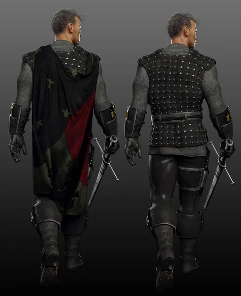 Fantasy Male Medieval Knight Armor Full Length Back View — 스톡 사진