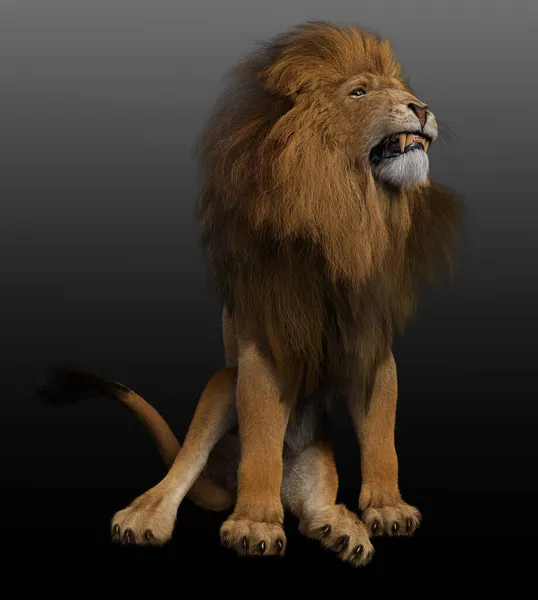 Cgi Snarling Lion Gouden Mannelijke Leeuw — Stockfoto