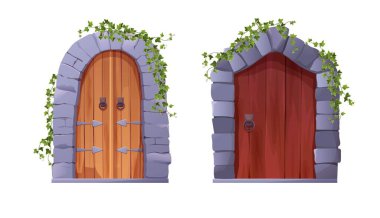 Antique medieval wooden door with arch and ivy plant. Entrance, gate in a castle, church or house.