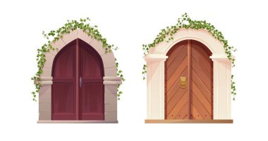 Antique medieval wooden door with arch and ivy plant. Entrance, gate in a castle, church or house.