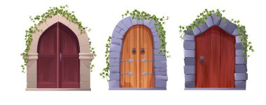 Antique medieval wooden door with arch and ivy plant. Entrance, gate in a castle, church or house.