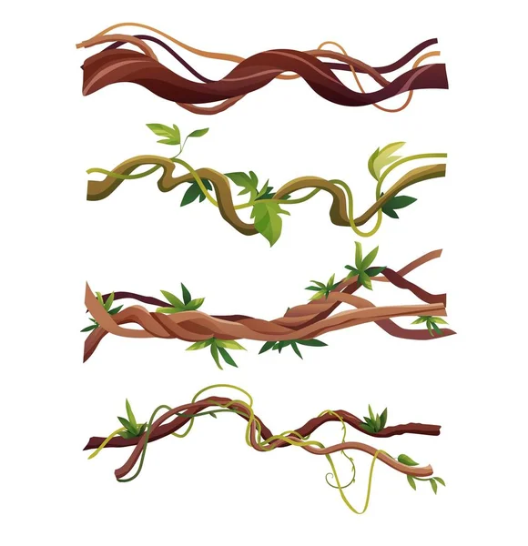 Liana ou vinhedo enrolamento ramos cartoon vetor ilustração. Plantas de escalada tropical da selva. — Vetor de Stock