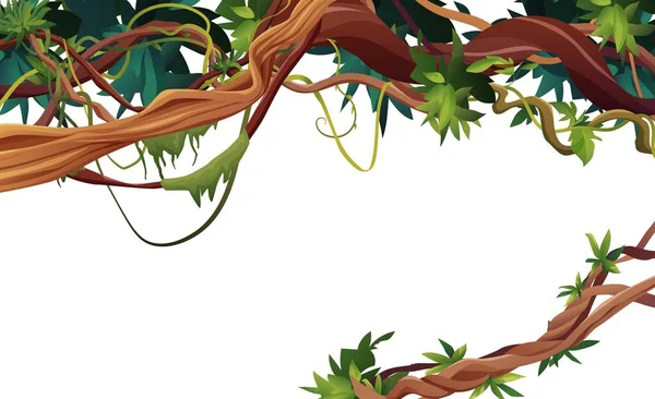 Liana vagy szőlő kanyargós ágak rajzfilm vektor illusztráció. Dzsungel trópusi mászó növények. — Stock Vector