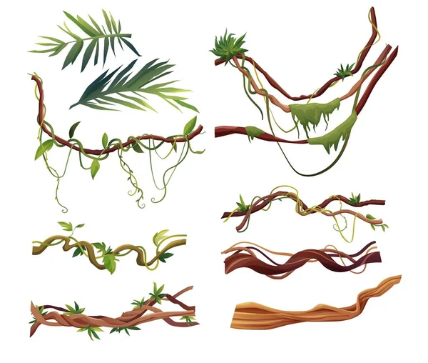 Liana o tralci di vite avvolgimento cartone animato vettoriale illustrazione. Giungla piante rampicanti tropicali. — Vettoriale Stock