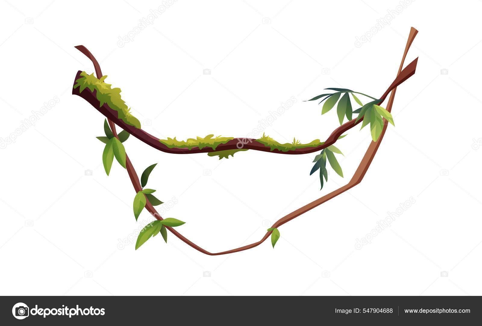 Ветви Лианы Виноградной Лозы Векторное Изображение ©Daria_Art.