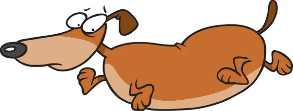 Wiener dog jogging in a shirt, on a white background. — Stock Vector