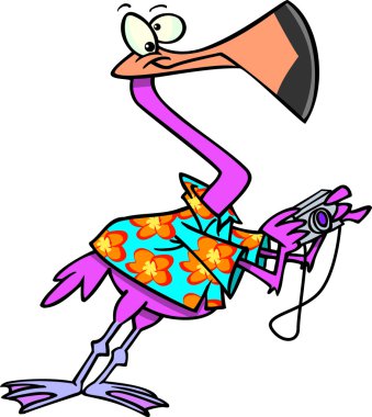 karikatür-flamingo turist ile fotoğraf makinesi