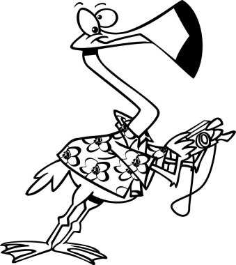 karikatür-flamingo turist ile fotoğraf makinesi