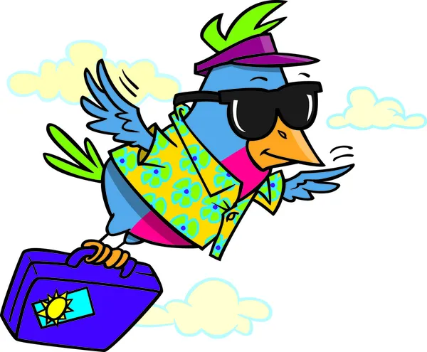karikatür snowbird