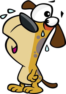 sızlanan, beyaz bir arka plan üzerinde bir köpek resmi.