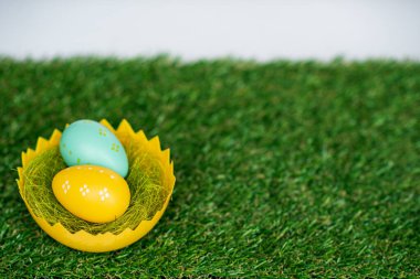 Sarı ve mavi Paskalya yumurtaları taze yeşil çimlerin üzerinde yumurta kabuğu sepetinde. Paskalya tatilleri ve kutlamalar.