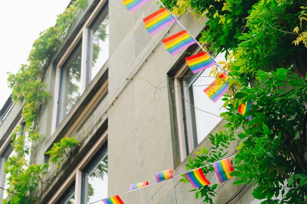 Rainbow pride and equality flags on banner. Equal rights, lqbtq pride month against gay, lesbian, bisexual, transgender discrimination.Rainbow LGBTQ banner. High quality photo