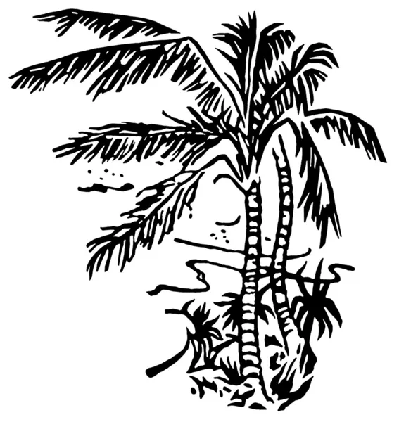 A black and white version of an illustration of Palm covered bea — Stock Photo, Image