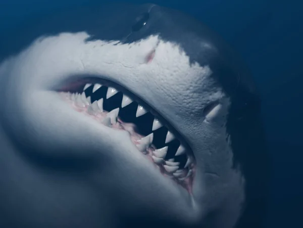 Great white shark front view close-up photo. horizontal composition no clipping path. 3d render