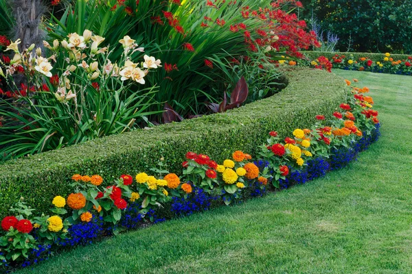 Colorido jardín — Foto de Stock