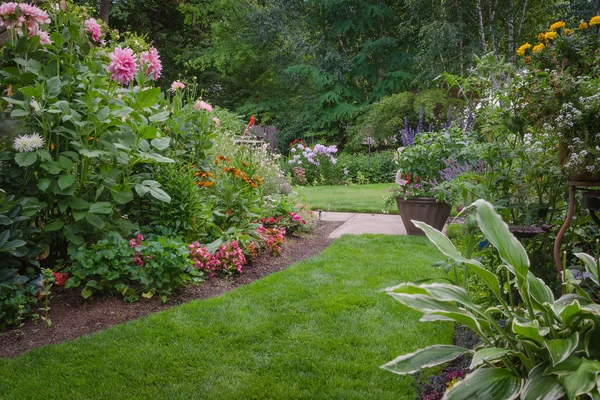 Пышный сад во дворе — стоковое фото