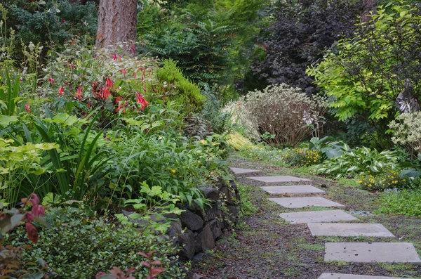 Backyard Woodland Path — Stock Photo, Image