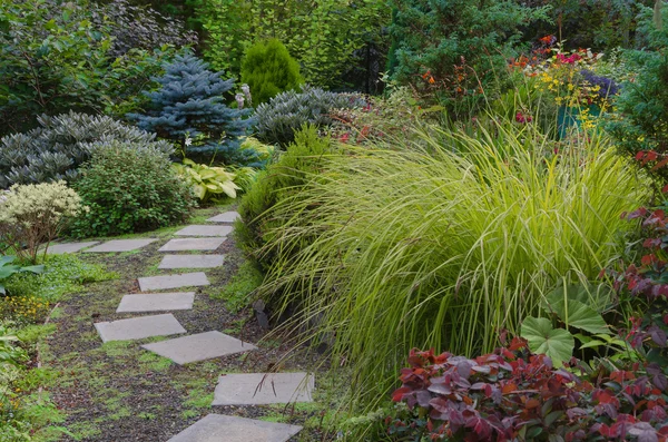 Sentiero giardino cortile — Foto Stock