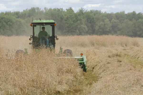 Tractor Cutting Grass Seed — Stock Photo, Image