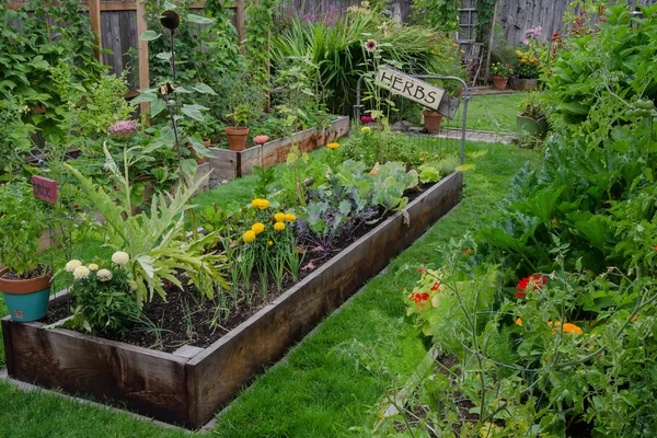 Garten in einem Garten — Stockfoto