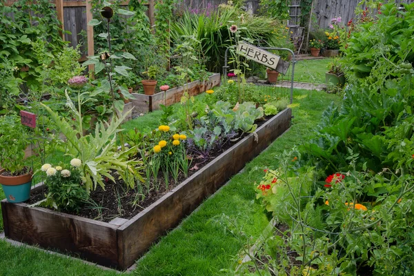 Jardín en un jardín — Foto de Stock