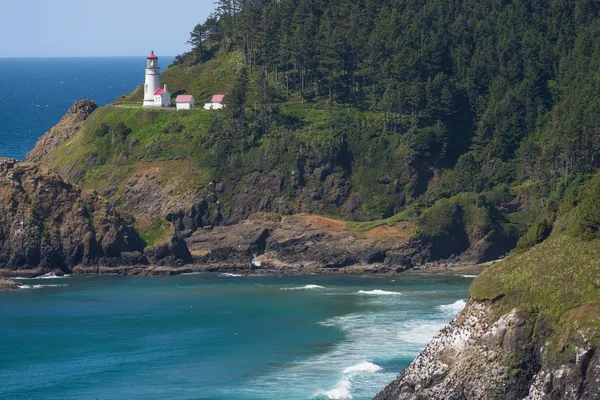 Heceta Head Cove — Stock Photo, Image