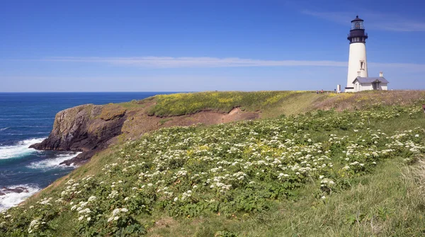 Yaquina-Leuchtturm Stockbild