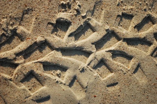 Strandkreuzfahrt — Stockfoto