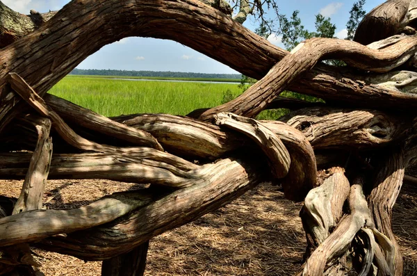 Parque Estatal Crooked River por Jackie DeBusk —  Fotos de Stock