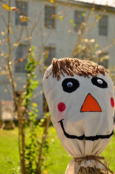 Happy guy scarecrow — Stock Photo, Image