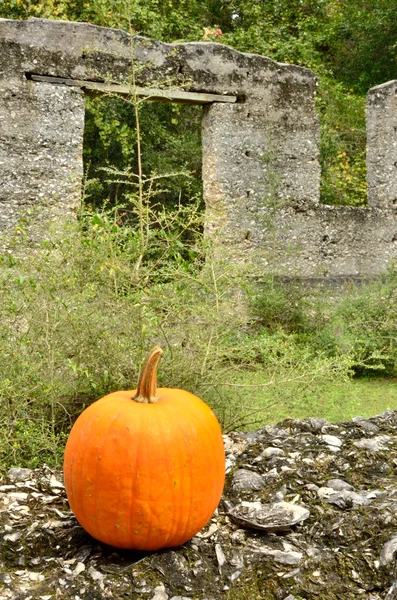 Citrouille orange éclate aux ruines — Photo