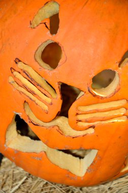 Kitty cat jack-o-lantern