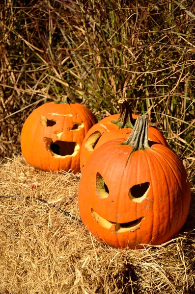 Jack-o-lyktor visas på hö — Stockfoto